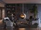 Preview: bioethanol fireplace Incyrcle Slim