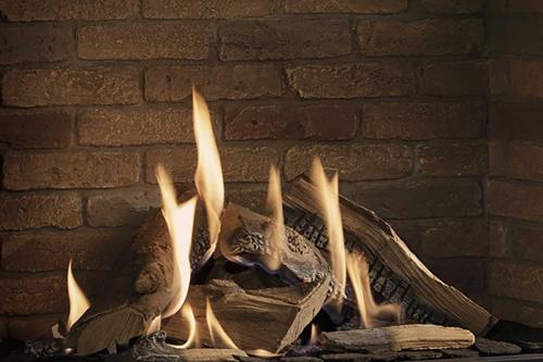 Truflame-Burner