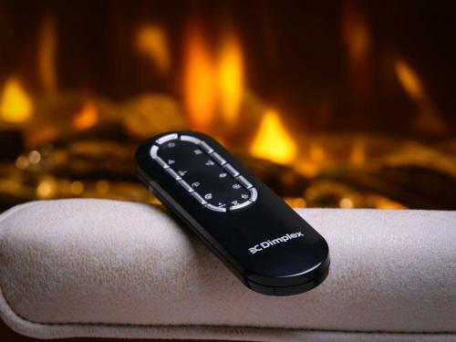 Elektrokamin Dimplex Ignite Bold 50
