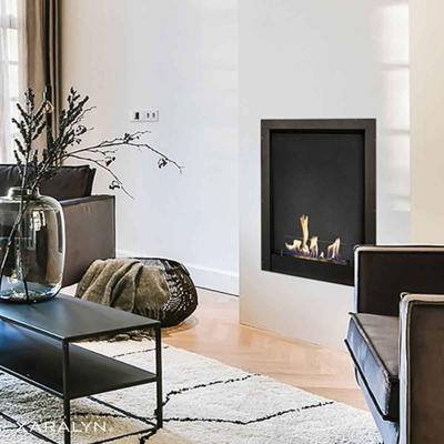 Preview: Bioethanol-Einbaubox M von Xaralyn