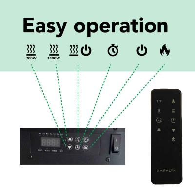 Xaralyn Elektrowandkamin Disegno XL90