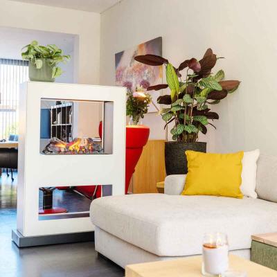 Preview: Xaralyn Elektrokamin Lasize Optimyst