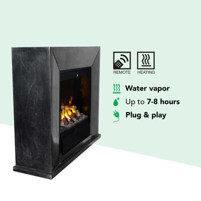 Xaralyn Elektrokamin Nero Optimyst Albany